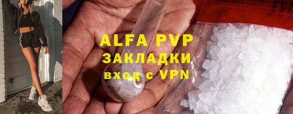 стаф Баксан