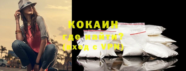 индика Сосновый Бор