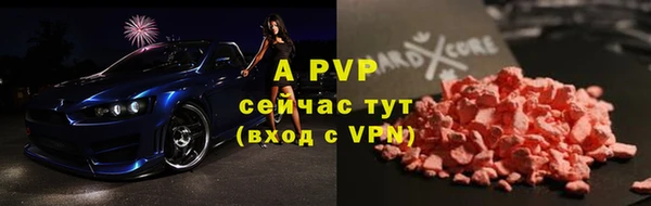 стаф Баксан