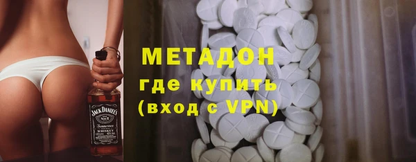 индика Сосновый Бор