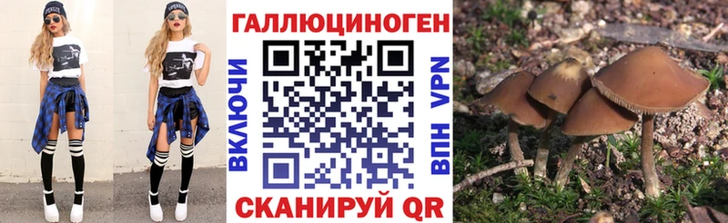 Псилоцибиновые грибы GOLDEN TEACHER  Кремёнки 